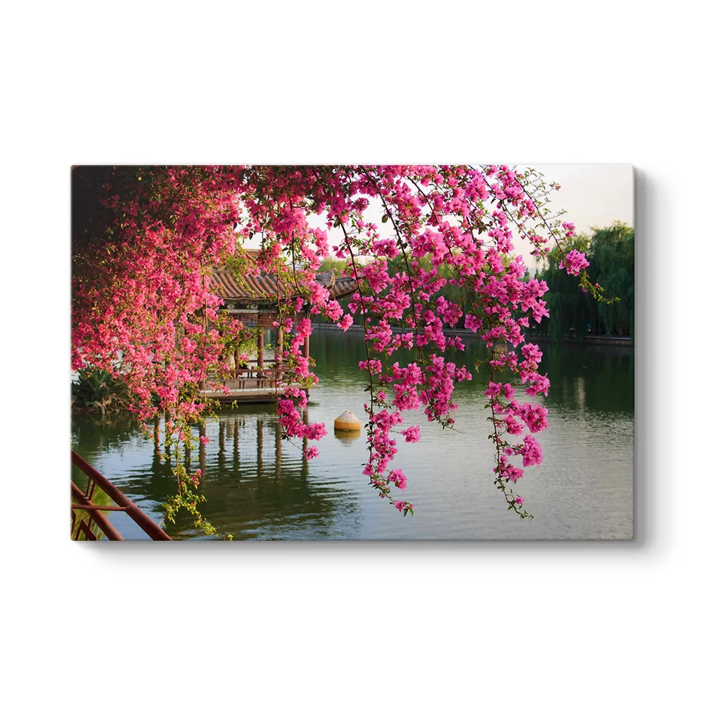 Pembe Bahar Çiçekleri Çin - Model 1